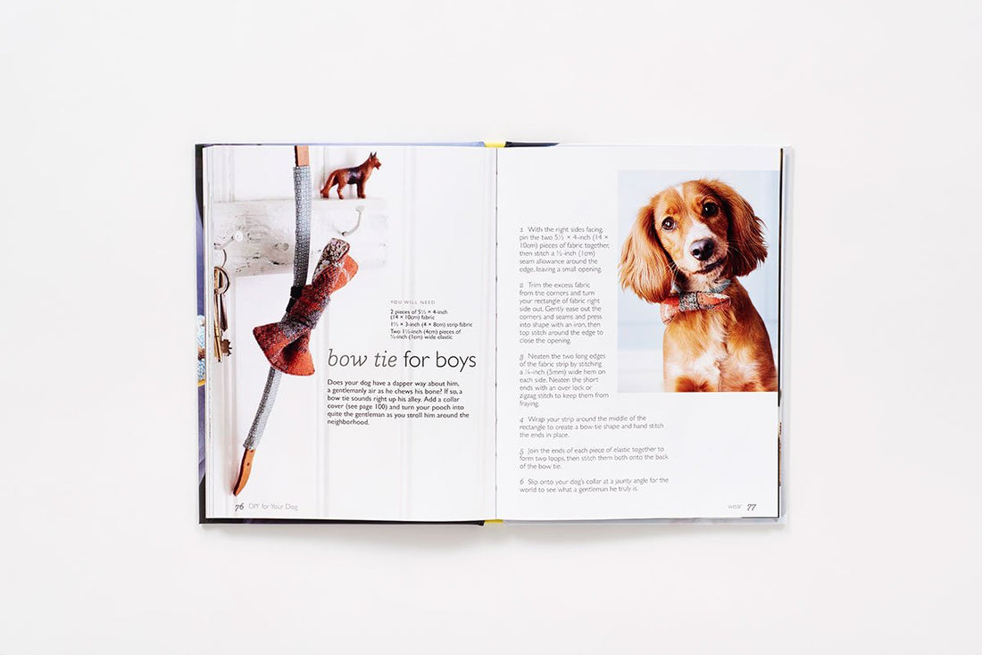 DIY for Your Dog - R. Blondel - Book