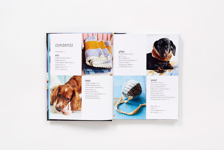 DIY for Your Dog - R. Blondel - Book
