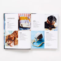 DIY for Your Dog - R. Blondel - Book