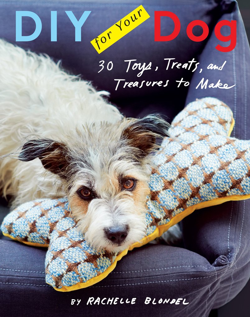 DIY for Your Dog - R. Blondel - Book