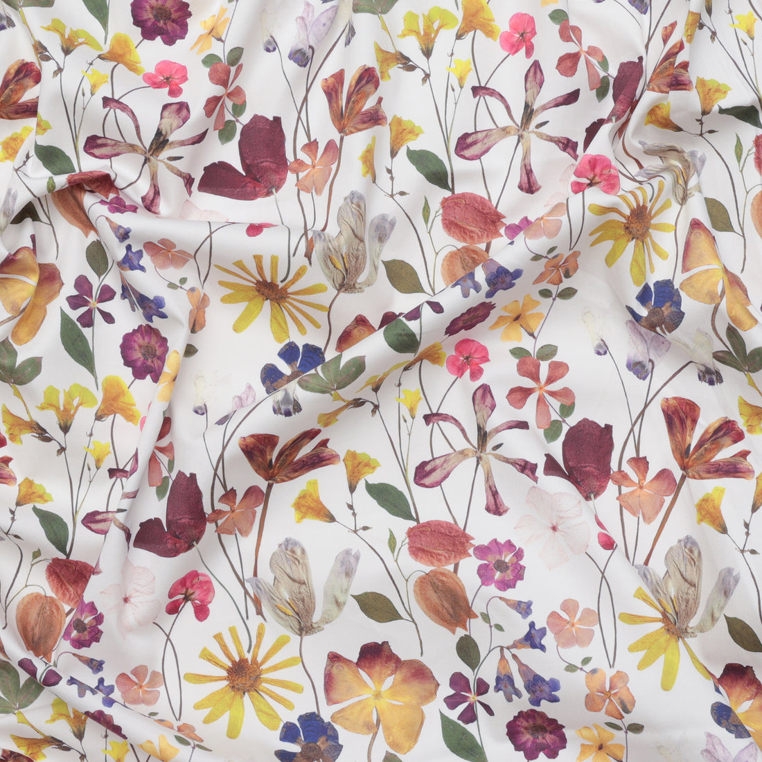 Cotton - Sateen - Digital Print - Multi