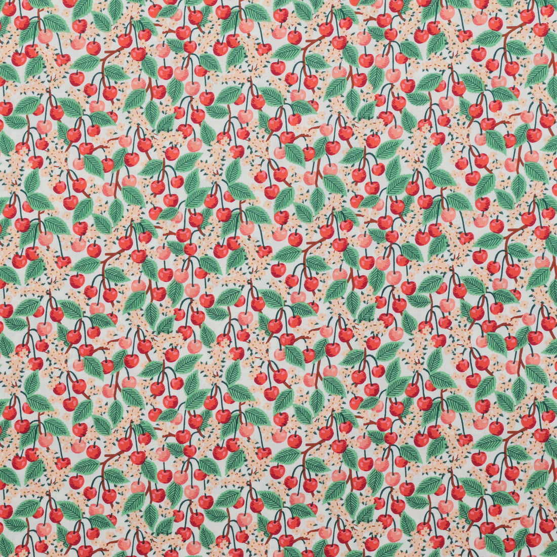 Rifle Paper Co. - Cotton - Orchard - Cherry Blossom - Cream