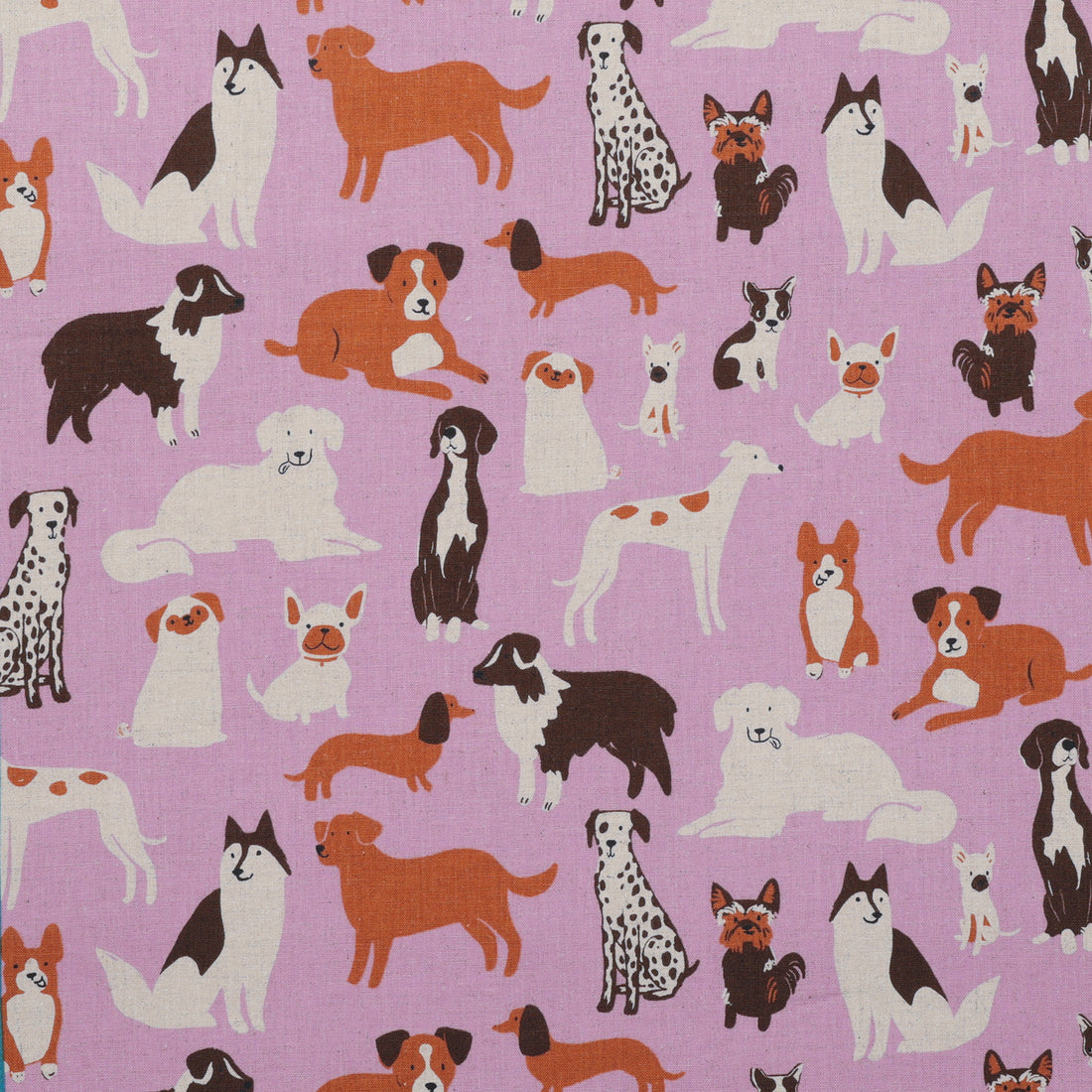 Ruby Star - Canvas - Dog Park - Dog Medley - Macaron – RICK RACK Textiles