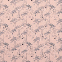 Katia - Cotton - Jersey - Coral Flamingos