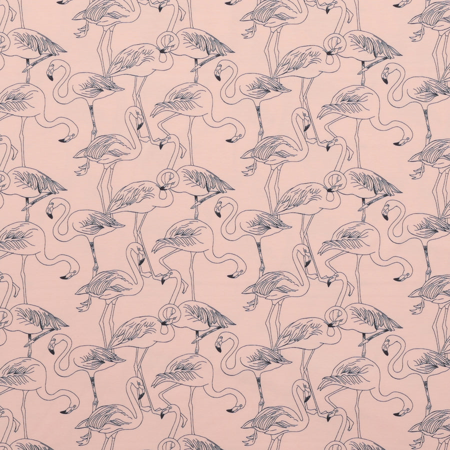 Katia - Cotton - Jersey - Coral Flamingos