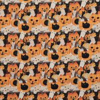 Dear Stella - Cotton - Meowloween - Multi