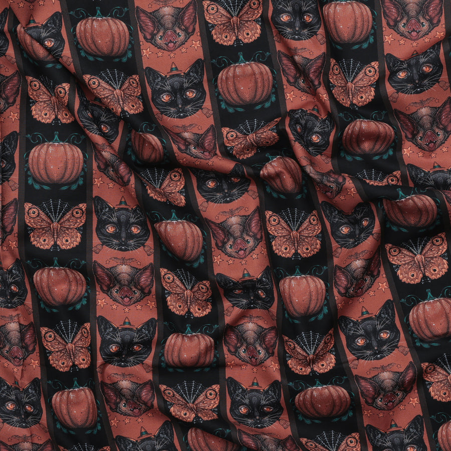 Rachel Hauer - Cotton - Mystic Moonlight - Halloween Stripe - Orange